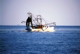 Shrimping Boat on the Water